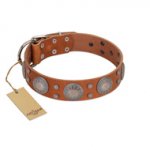 "Far Star" FDT Artisan Tan Leather Doberman Collar with Engraved Studs