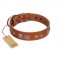"Egyptian Gifts" Handmade FDT Artisan Tan Leather Doberman Collar with Chrome-plated Pyramids
