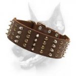 Doberman Spiked & Studded Exclusive Dog Collar