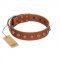 "Heroic Deeds" Designer Handmade FDT Artisan Tan Leather Doberman Collar