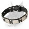 Extraordinary Leather Collar - Doberman Collar with Silver Plates and Pyramids