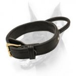 2 ply Leather Agitation Dog Collar With Heavy-Duty Handle for Dobermans