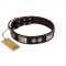 "Baller Status" FDT Artisan Brown Leather Doberman Collar Adorned with a Set of Chrome Plated Studs and Plates
