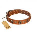 "Call of Feat" FDT Artisan Tan Leather Doberman Collar with Old Bronze-like Studs and Oval Brooches