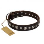 "Gorgeous Shields" FDT Artisan Brown Leather Doberman Collar with Old Silver-like Circles and Small Camomiles