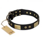 "Spanish night" FDT Artisan Fashionable Leather Walking Doberman Collar