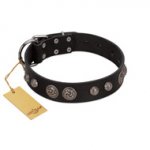 "Tricky Ricky" FDT Artisan Black Leather Doberman Collar Adorned with Silver-Like Conchos