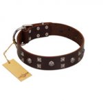 "Brown Shadow" Designer Handmade FDT Artisan Brown Leather Doberman Collar