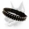 Black Colored Nylon Spiked Dog Collar- Most Durable Dog Collar With Shiny Spikes