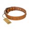 "Autumn Story" FDT Artisan Leather Doberman Collar with Old Bronze Look Studs