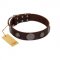 "Flashy Woof" FDT Artisan Brown Leather Doberman Collar with Chrome Plated Brooches