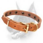 Simply Beautiful Leather Dog Collar with Brass Round Studs