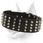 Superb Studded Leather Dog Collar-Wide Dog Collar With Gorgeous Pyramids