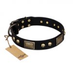 "Biker Style" FDT Artisan Black Leather Doberman Collar with Old Bronze Look Plates and Skulls