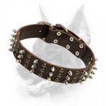 Doberman Spiked & Studded Dog Collar-Multifunctional Training Collar