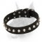 Exquisite and Practical Leater Doberman Dog Collar 'Daily Elegance'