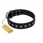 "Silver Flower" Exclusive FDT Artisan Black Leather Doberman Collar with Silver-Like Studs