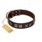 "Needle Stories" Modern FDT Artisan Brown Leather Doberman Collar with Square Engraved Plates and Four-Point Stars