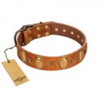 "Glossy Autumn" Designer Handmade FDT Artisan Tan Leather Doberman Collar with Ovals and Studs