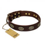 "Chocolate kiss" FDT Artisan Leather Doberman Collar with Old Bronze Look Oval Plates