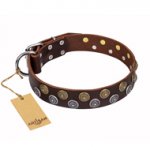 'Strong Shields' FDT Artisan Brown Leather Doberman Collar with Stylish Circular Studs