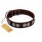 "High and Mighty" FDT Artisan Classy Brown Leather Doberman Collar with Embellished Brooches