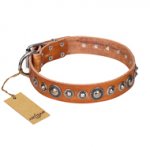"Daily Chic" FDT Artisan Tan Leather Doberman Collar with Decorations