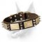 Exclusive Doberman Collar - New Leather Collar with Plates and Spikes