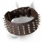 Doberman Dog Collar With Spikes Hand Set in 4 Rows