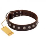 "Lucky Silver" Designer Handmade FDT Artisan Brown Leather Doberman Collar