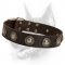 De luxe Leather Dog Collar Is Accented With Silver Conchos