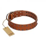"Star Light" Stylish FDT Artisan Tan Leather Doberman Collar with Silver-Like Studs