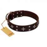 "Trendy Candy" FDT Artisan Brown Leather Doberman Collar Adorned with Stars and Tiny Squares