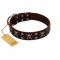 "Menacing Allure" FDT Artisan Brown Leather Doberman Collar Embellished with Silvery Crossbones and Square Studs