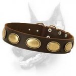 Retro Rulz - Gorgeous Vintage Dog Leather Collar - Handcrafted Creation