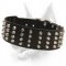 Superb Studded Leather Dog Collar-Wide Dog Collar With Gorgeous Pyramids