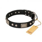 "Pirates Gold" FDT Artisan Black Leather Doberman Collar with Old Silver Look Plates and Skulls