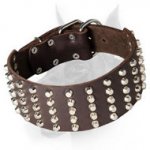 Extra Wide Full Grain Leather Doberman Dog Collar with Studs