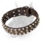 Fantastic Leather Doberman Dog Collar with Chic Decorations