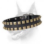 Newly-Designed Brass Studded Leather Dog Collar - "Caterpillar"