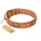 "Saucy Nature" FDT Artisan Tan Leather Doberman Collar with Old Bronze Look Plates and Skulls