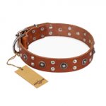 "Silver Elegance" FDT Artisan Decorated Leather Doberman Collar with Old Silver-Like Plated Studs and Cones