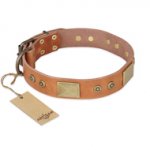 "The Middle Ages" FDT Artisan Handcrafted Tan Leather Doberman Collar