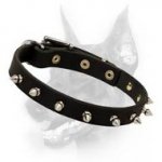 Spiked Leather Dog Collar-Worthy Dog Equipment-Dressy Canine Accessory