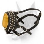 Royal Spiked Leather Dog Muzzle for Doberman