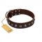 "Dark Chocolate" Handmade FDT Artisan Brown Leather Doberman Collar with Studs