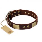 "Shining Armour" FDT Artisan Brown Leather Doberman Collar with Decorations