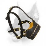 Doberman Dog Obedience Training Muzzle with Stylish Studs