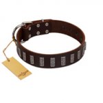 "Brown Lace" Handmade FDT Artisan Brown Leather Doberman Collar for Everyday Walks
