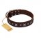 "Stellar Fairy " FDT Artisan Brown Leather Doberman Collar with Chrome-plated Star-like Decorations